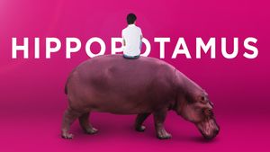 The Hippopotamus's poster