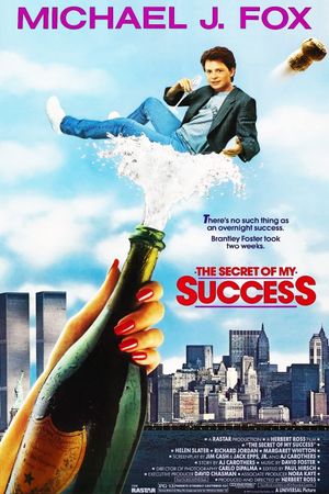 The Secret of My Success's poster
