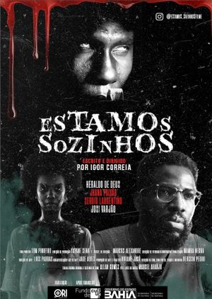 Estamos Sozinhos's poster image