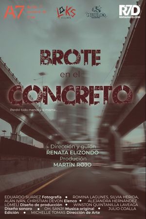Brote en el concreto's poster