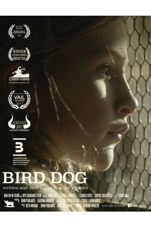 Bird Dog's poster