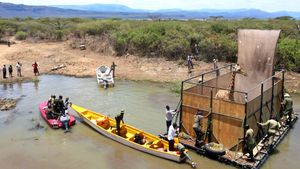 Saving Giraffes: The Long Journey Home's poster