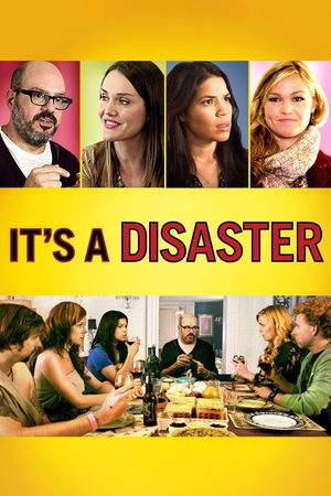 It's a Disaster's poster