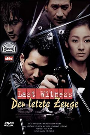 The Last Witness's poster