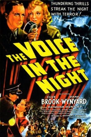 The Voice in the Night's poster image