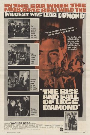 The Rise and Fall of Legs Diamond's poster