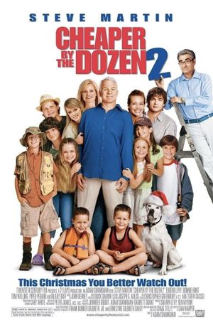 Cheaper by the Dozen 2's poster