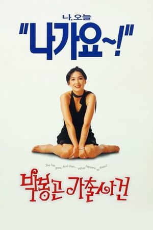 The Adventures of Mrs Park's poster image