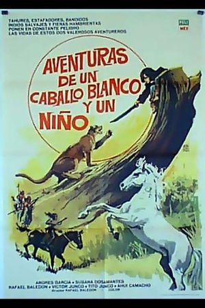 Aventuras de un caballo blanco y un niño's poster