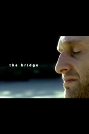 The Bridge's poster