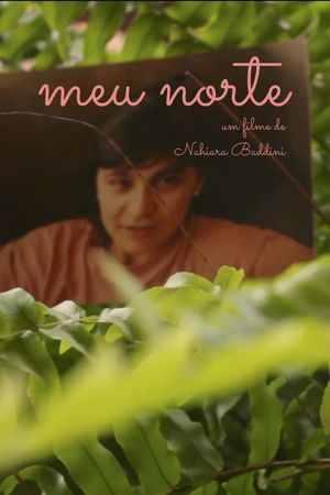 Meu Norte's poster