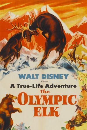 The Olympic Elk's poster