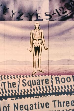 The Square Root of Negative Three's poster