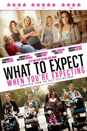 What to Expect When You're Expecting's poster