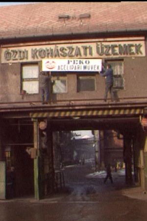 Tehetetlenül's poster
