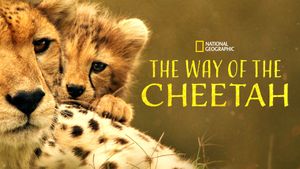 The Way of the Cheetah's poster