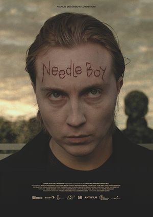 Needle Boy's poster