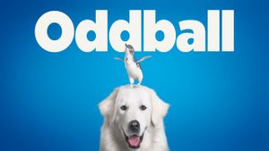 Oddball's poster