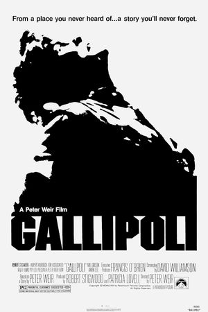 Gallipoli's poster