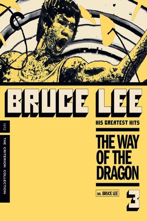 The Way of the Dragon's poster