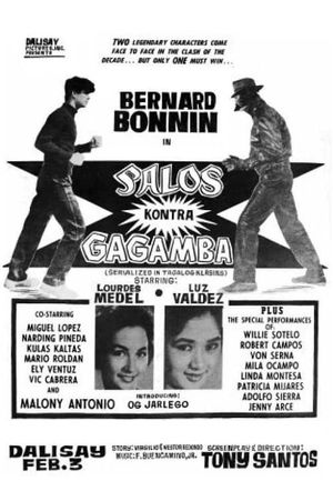 Palos kontra gagamba's poster