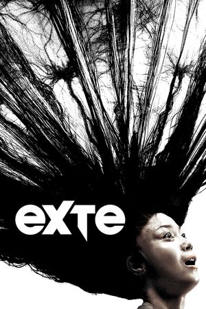 Exte: Hair Extensions's poster image