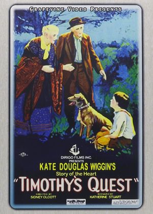 Timothy's Quest's poster