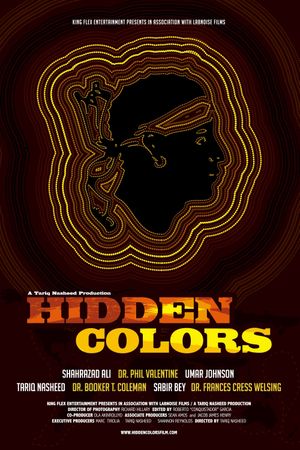 Hidden Colors's poster