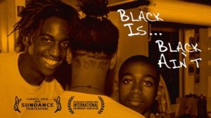 Black Is... Black Ain't's poster