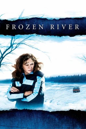 Frozen River's poster