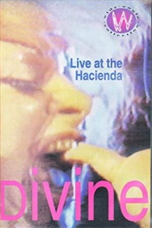 Divine: Live at the Hacienda's poster