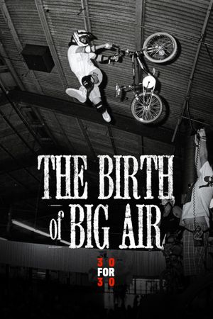 The Birth of Big Air's poster