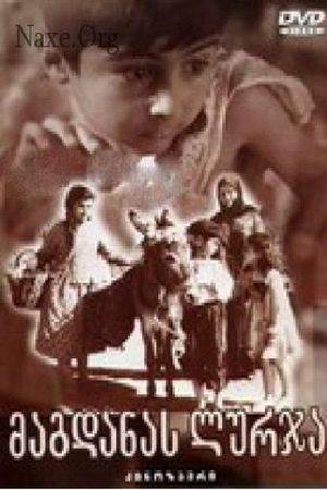 Magdana's Donkey's poster
