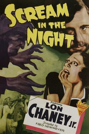 A Scream in the Night's poster