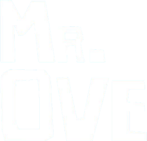 A Man Called Ove's poster