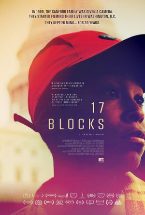 17 Blocks's poster