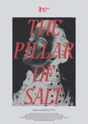The Pillar of Salt's poster