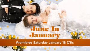 June in January's poster