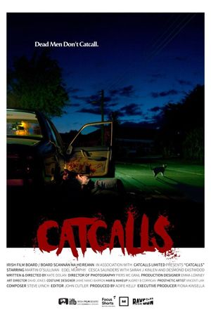 Catcalls's poster