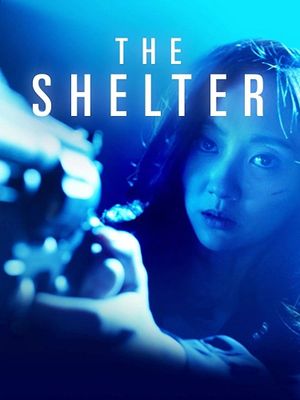 The Shelter's poster