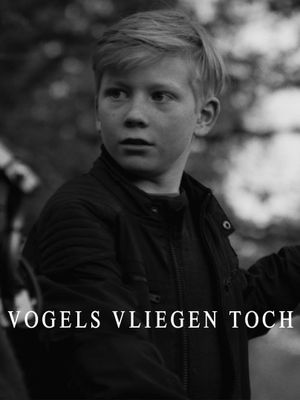 Vogels vliegen toch's poster