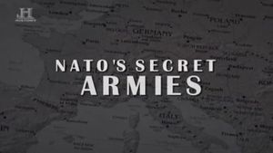 NATO's Secret Armies's poster