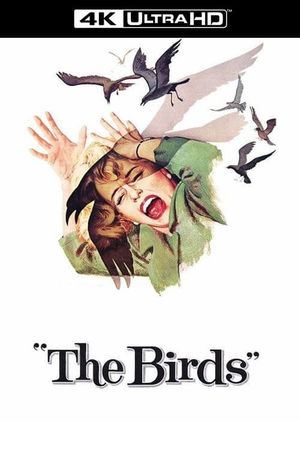 The Birds's poster