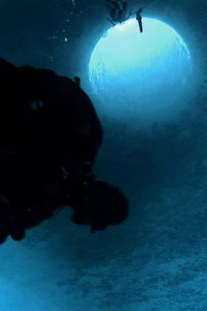 Encounters at the End of the World's poster