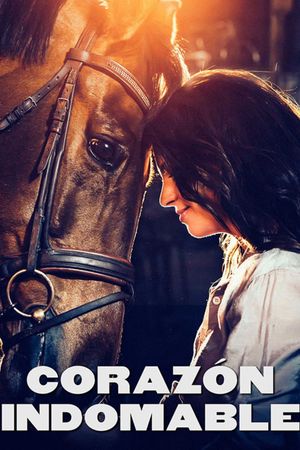 Aika jonka sain's poster