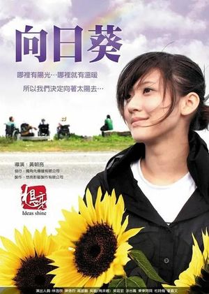 Sun Flowers's poster