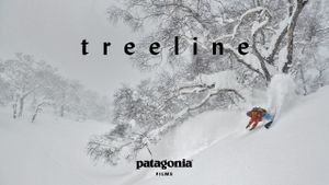 Treeline's poster