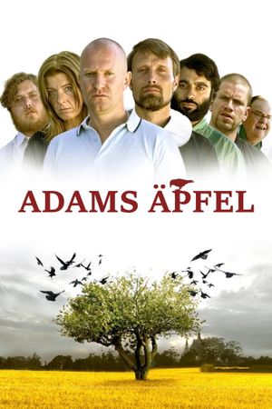 Adam's Apples's poster