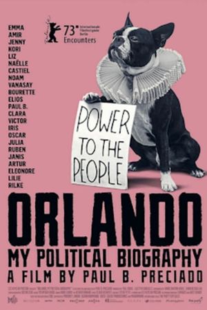 Orlando: My Political Biography's poster