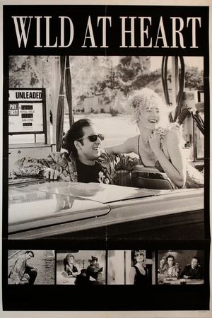 Wild at Heart's poster